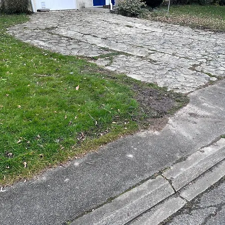 L'haricotier
